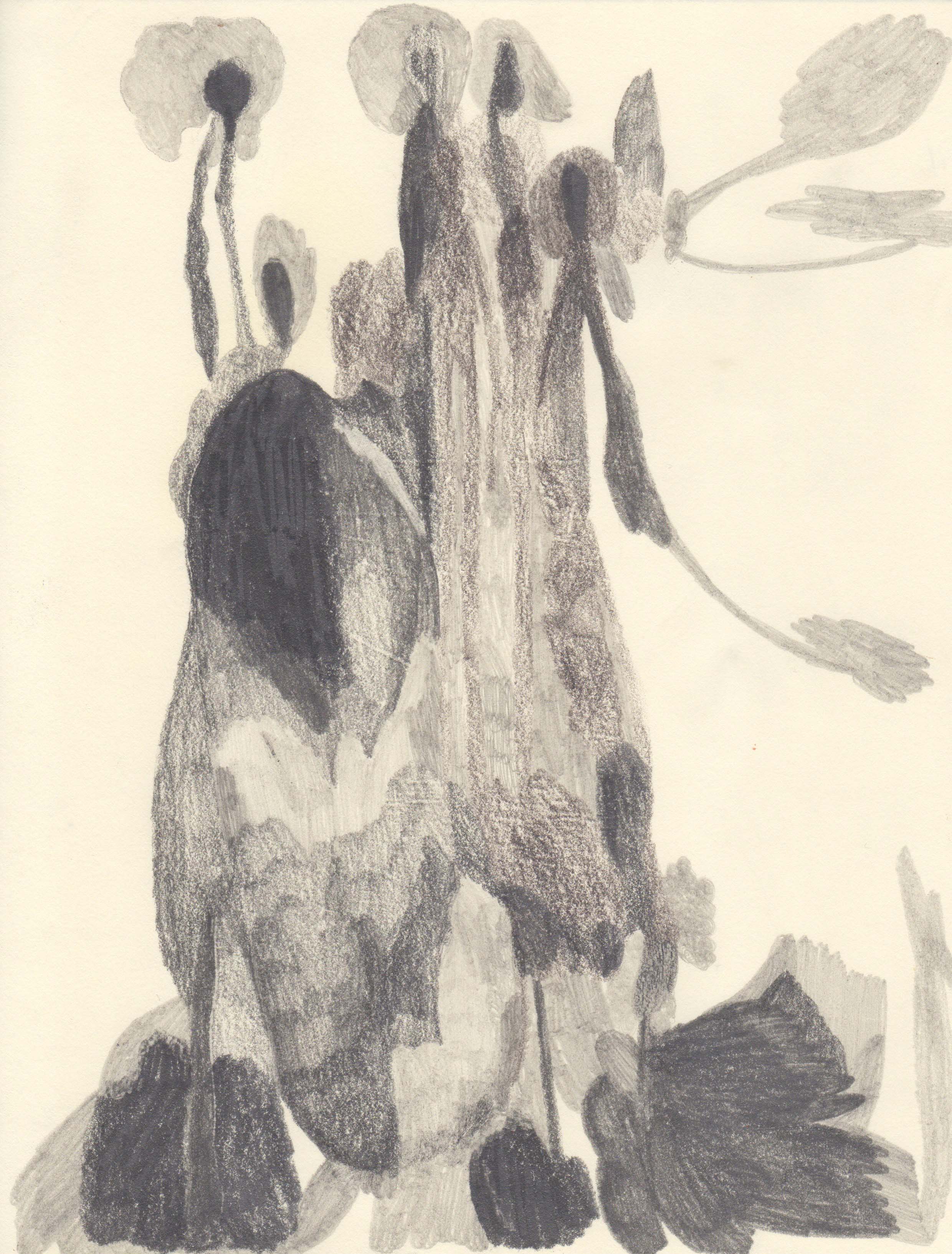charcoal-pencil
